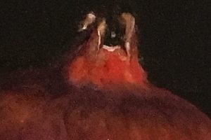 100877a-detail1