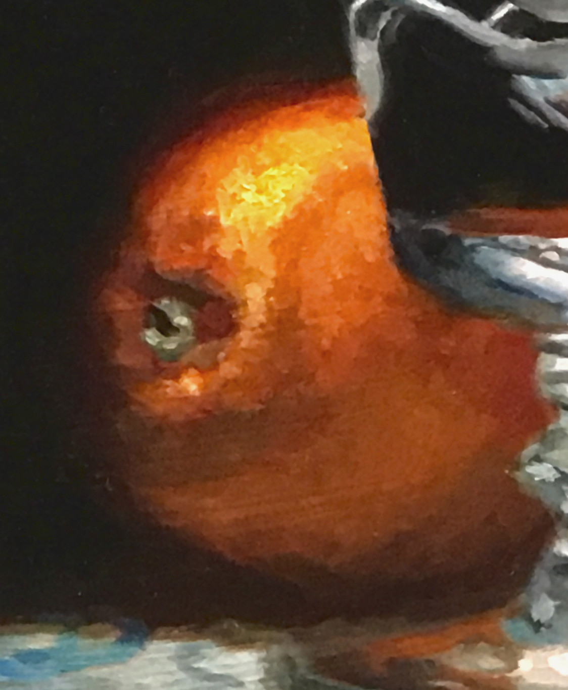 101574-detail1