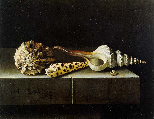 Coorte,_Adriaen_-_Still_Life_with_Shells_-_1697 Adrienne Coorte “Still Life with Shells” Oil on paper on panel, 7×9 inches, 1697.