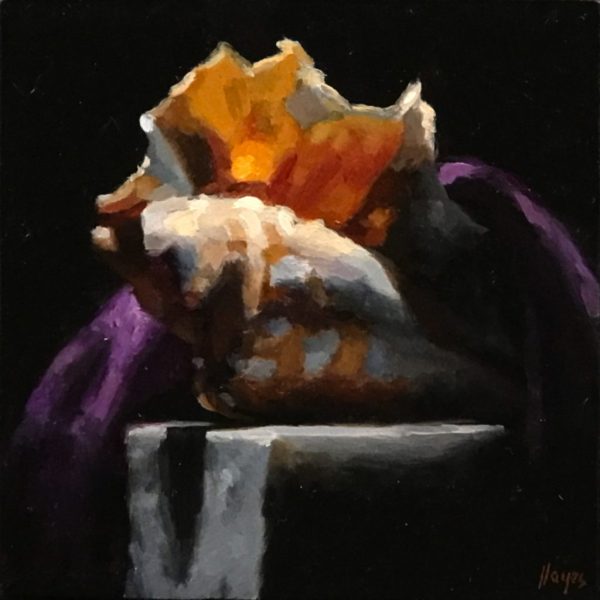 Shell Study No. 2