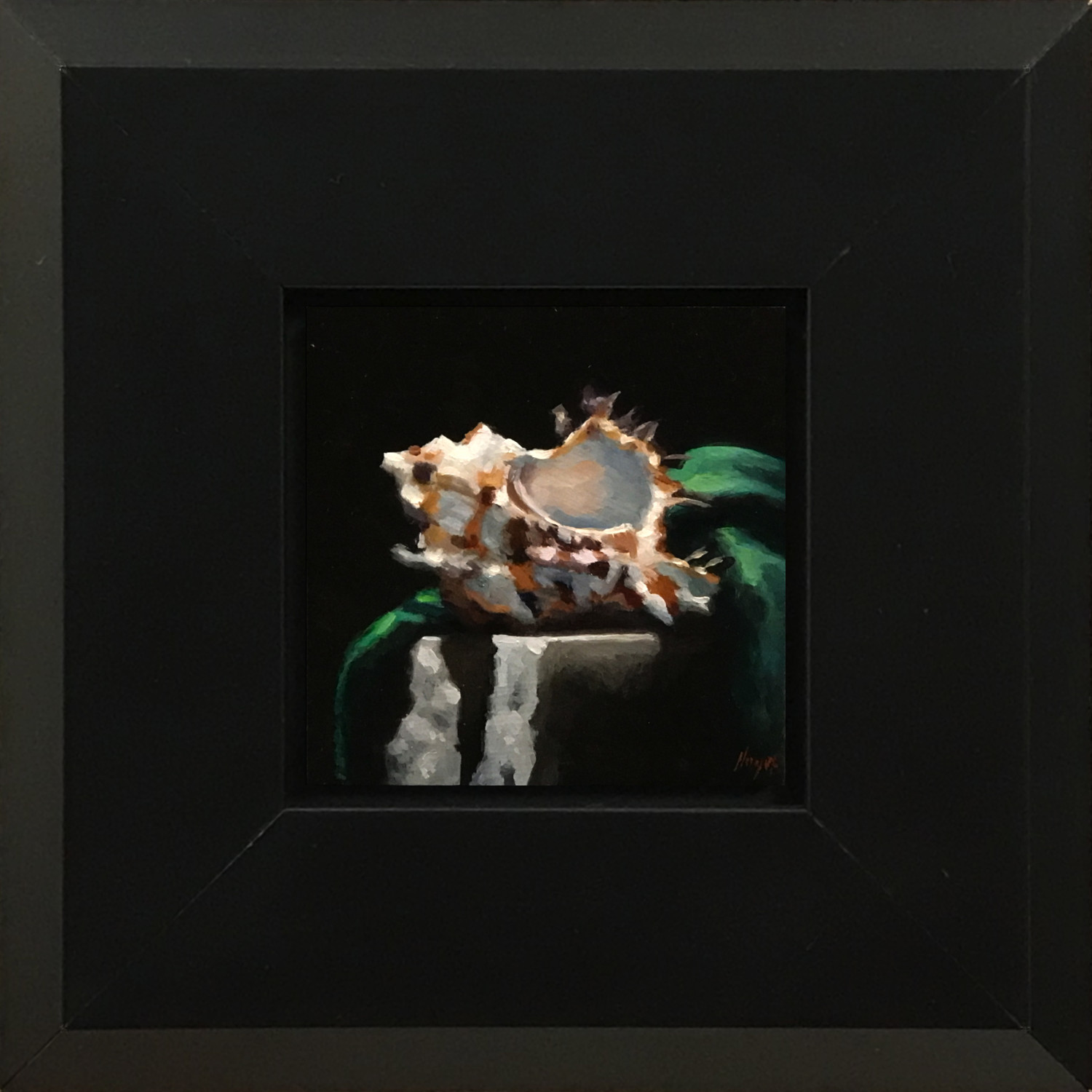 "Shell Study No. 3"$375