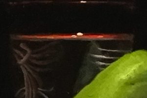 101590-detail2